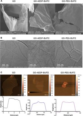 Assessing cellular internalization and endosomal escape abilities of novel BUFII-Graphene oxide nanobioconjugates